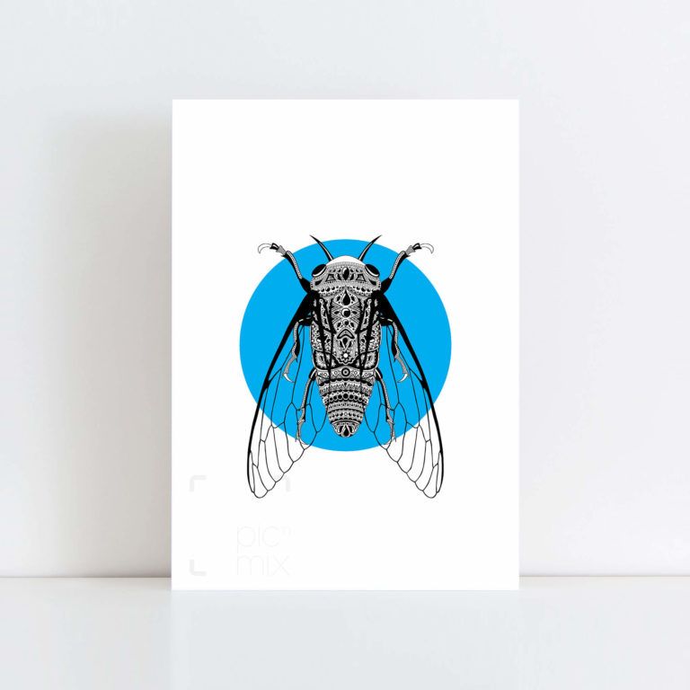 Original Illustration of a Cicada with Blue Background No Frame