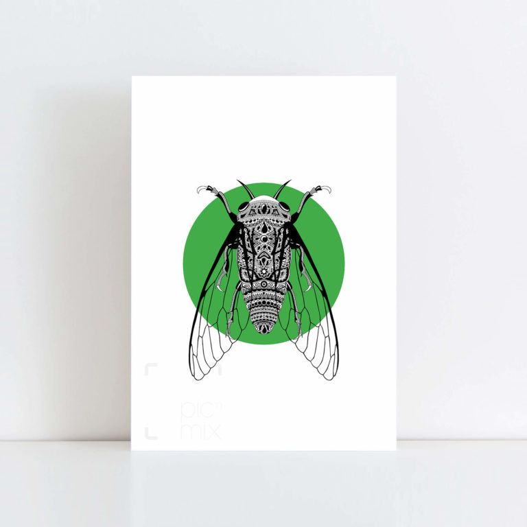 Original Illustration of a Cicada with Green Background No Frame