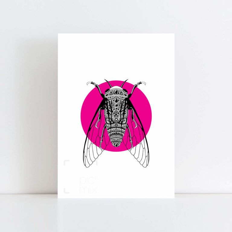 Original Illustration of a Cicada with Pink Background No Frame