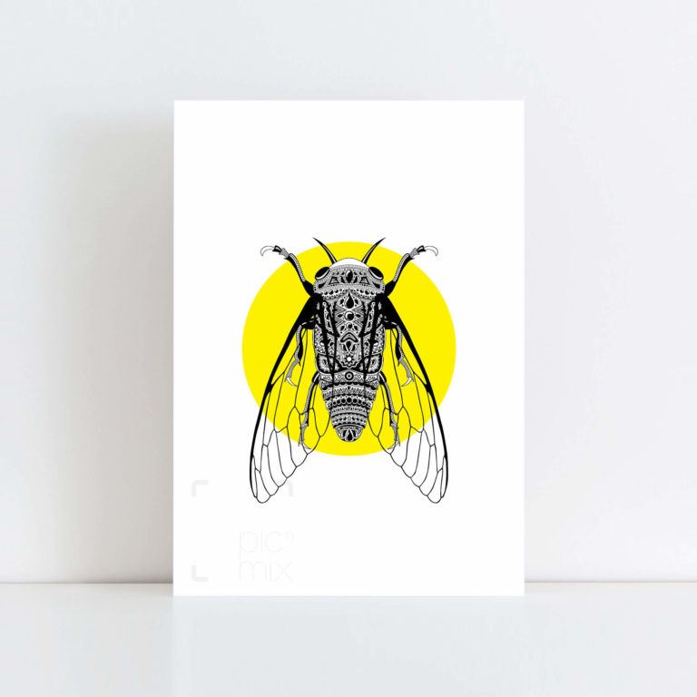 Original Illustration of a Cicada with Yellow Background No Frame