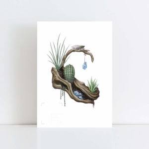Print of 'Cicada on Cactus' No Frame