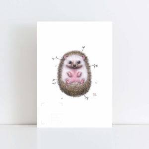 Print of 'Little Hedgehog' No Frame