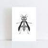 Original Illustration of a Wasp with a white background No Frame