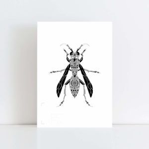 Original Illustration of a Wasp with a white background No Frame
