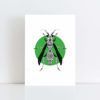 Original Illustration of a Wasp with a green background No Frame