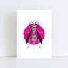 Original Illustration of a Wasp with a pink background No Frame
