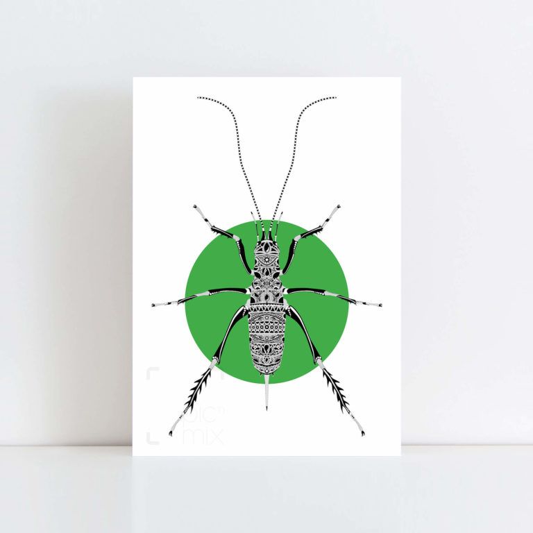 Original Illustration of a Weta with a green background No Frame