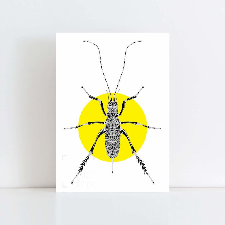 Original Illustration of a Weta with a yellow background No Frame