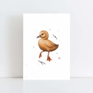 Print of 'Yellow Duckie' No Frame