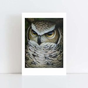 Print of Great Owl No Frame