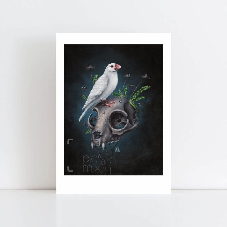 Print of Little Finch No Frame