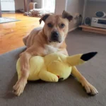 A photo of Lexi and Pikachu